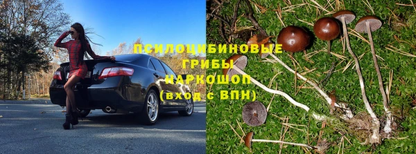 прущие крисы Абинск