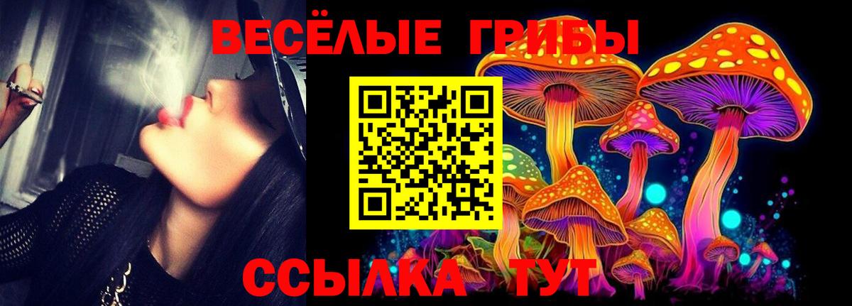 Галлюциногенные грибы MAGIC MUSHROOMS Павловский Посад